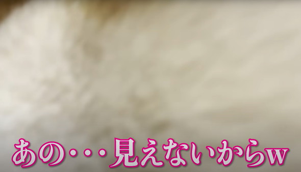 赤ちゃんと柴犬