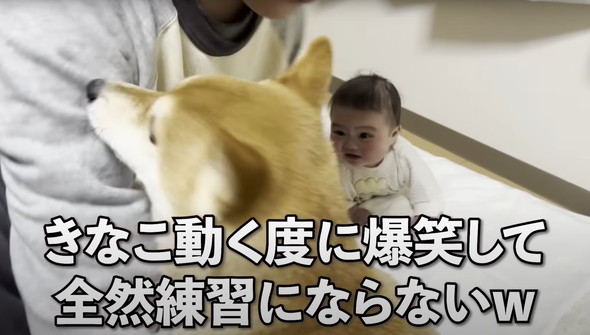 赤ちゃんと柴犬