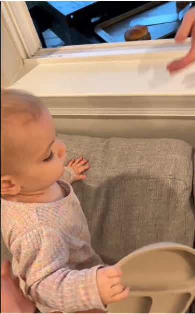 チーズバーガーを落とす赤ちゃん