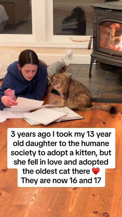 自分を引き取った16歳の娘が勉強している内容に関心を示す17歳の元保護猫