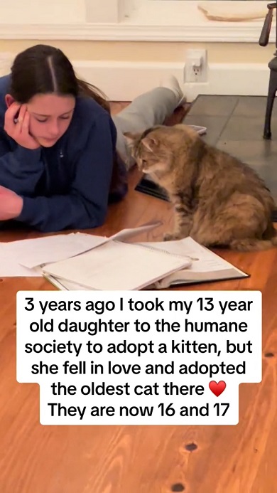 自分を引き取った16歳の娘が勉強している内容に関心を示す17歳の元保護猫