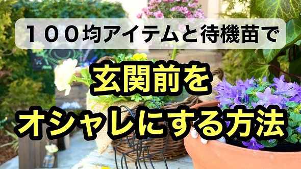 100円ショップのアイテムで待機苗を装飾するアイデアを解説
