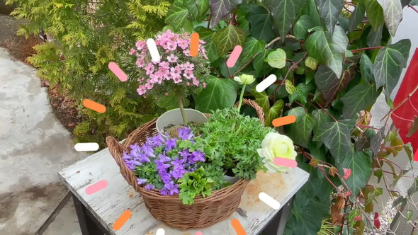 100円ショップのアイテムで待機苗を装飾するアイデアを解説