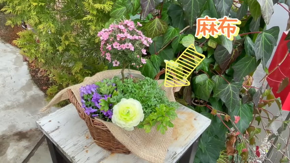 100円ショップのアイテムで待機苗を装飾するアイデアを解説