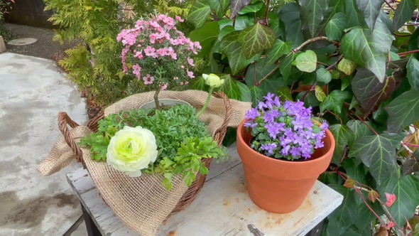 100円ショップのアイテムで待機苗を装飾するアイデアを解説