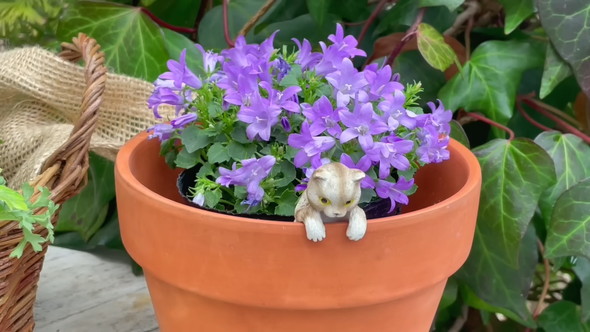 100円ショップのアイテムで待機苗を装飾するアイデアを解説