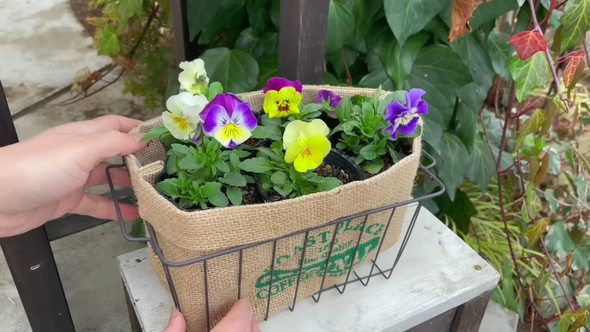 100円ショップのアイテムで待機苗を装飾するアイデアを解説