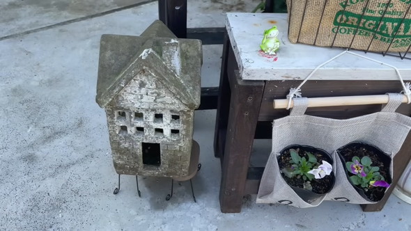 100円ショップのアイテムで待機苗を装飾するアイデアを解説