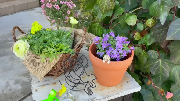 100円ショップのアイテムで待機苗を装飾するアイデアを解説