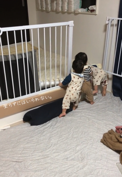 のぼらずにはいられない