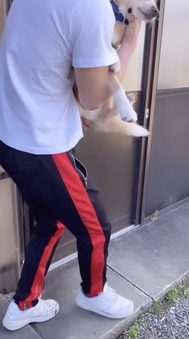 17歳愛犬との今の写真