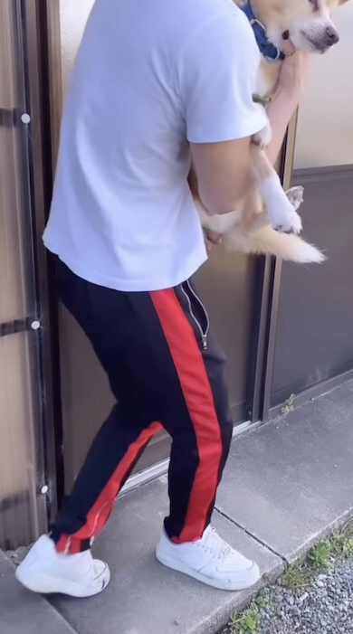 17歳愛犬との今の写真