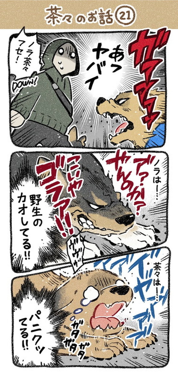 売れない漫画家と聞こえない犬の話