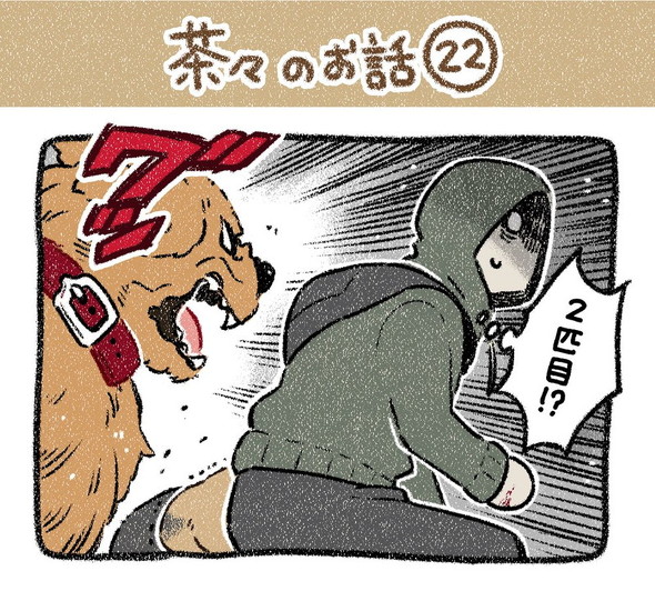 売れない漫画家と聞こえない犬の話