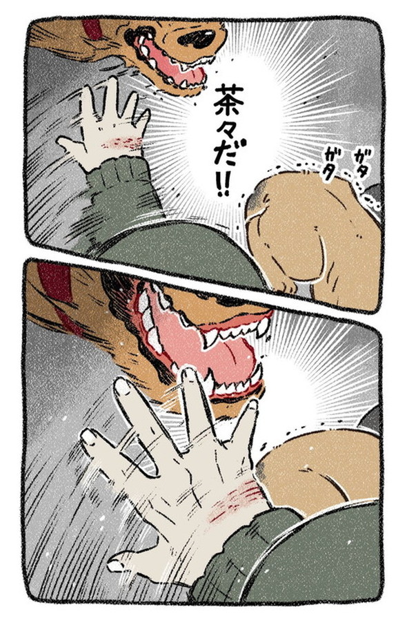 売れない漫画家と聞こえない犬の話