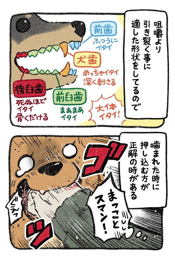 売れない漫画家と聞こえない犬の話