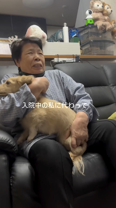 犬が苦手な母が犬の世話