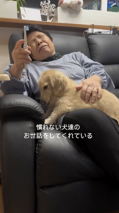 犬が苦手な母が犬の世話