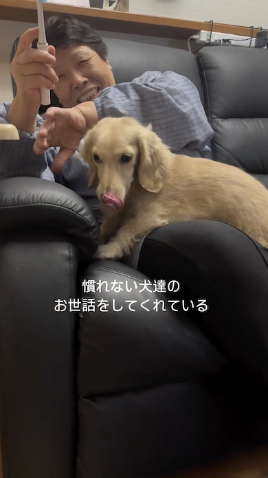 犬が苦手な母が犬の世話