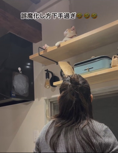 イタズラをしている茶白猫ちゃん