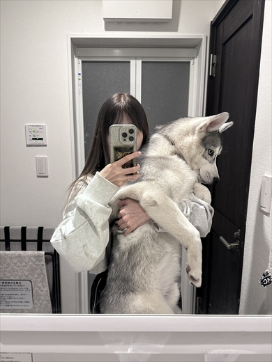 あっというまに大きくなるシベリアン・ハスキー