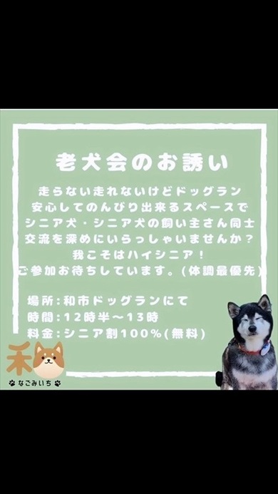 シニア犬限定ドッグラン