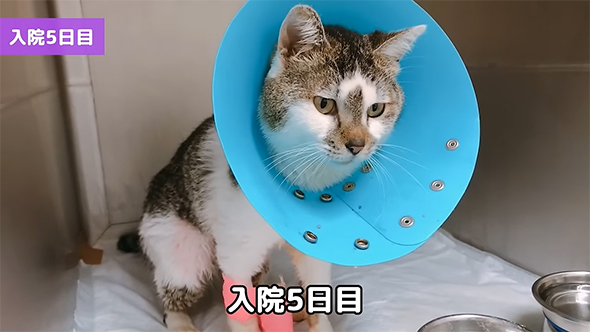 入院5日目