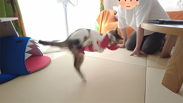 エビスープレックス