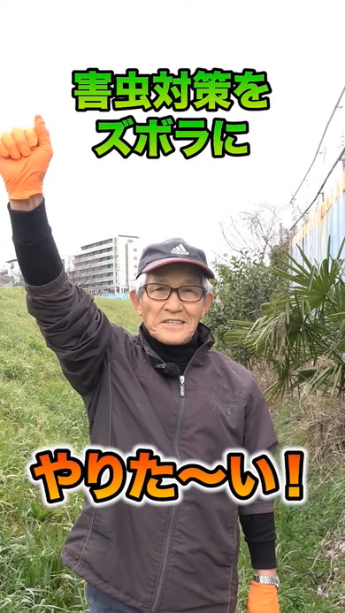 おすすめ