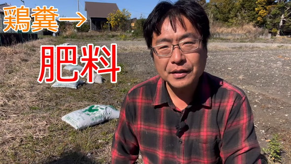 鶏ふんと牛ふんの違いを解説