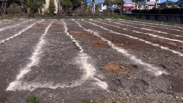 苦土石灰のまき方