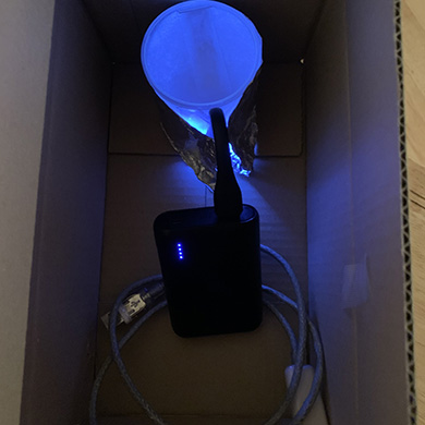 チョロQ 漂白 車