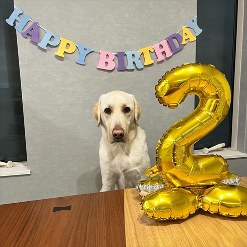 「虎丸ステーション」の虎丸くん