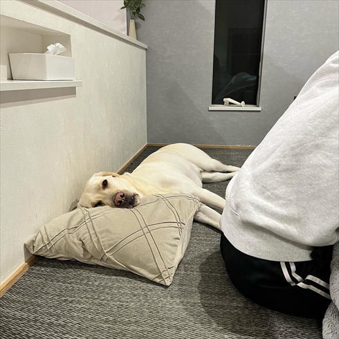 「虎丸ステーション」の虎丸くん