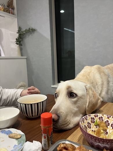 「虎丸ステーション」の虎丸くん