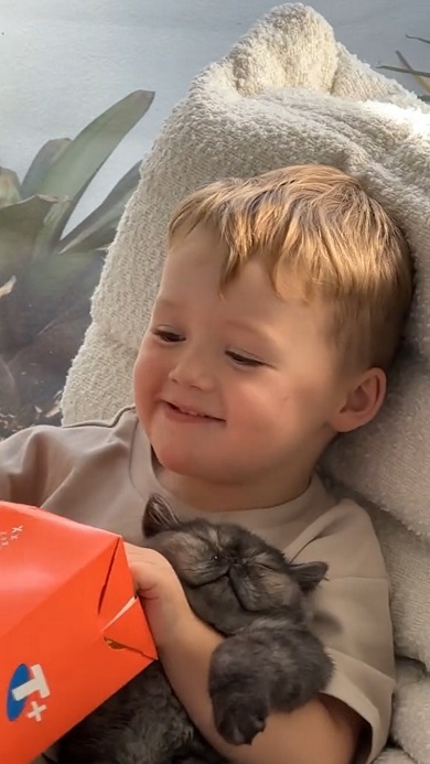 男の子のポップコーンを食べる動きに合わせて頭が上下に動く猫