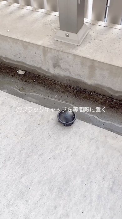 G対策でブラックキャップをベランダに