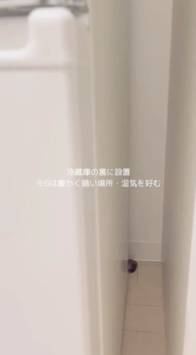 G対策でブラックキャップを冷蔵庫裏に