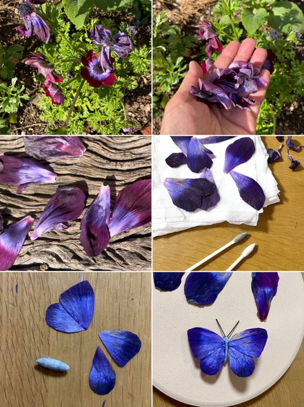 花びらで作った蝶
