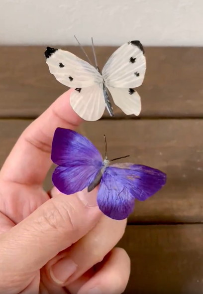 花びらで作った蝶
