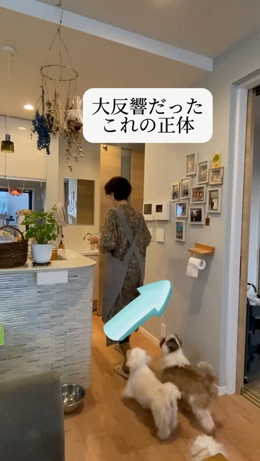 大反響だったこれ