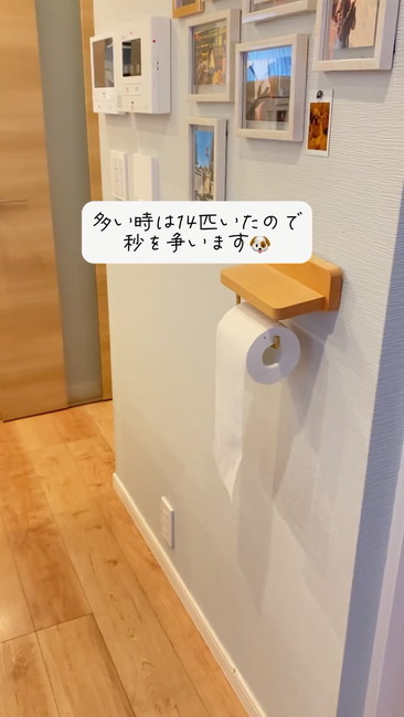 おおいときは14匹