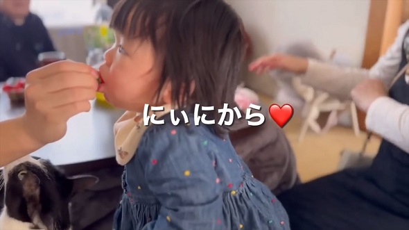 17歳差兄妹の1年間をまとめた映像内で、高校生の兄に食べさせてもらう生後10カ月の妹