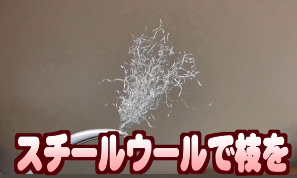 ミニチュア桜05