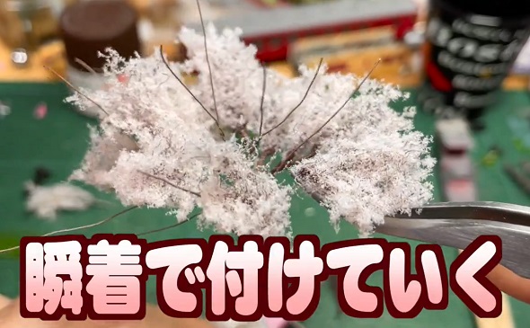 ミニチュア桜07