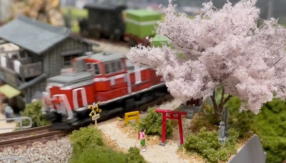 ミニチュア桜09