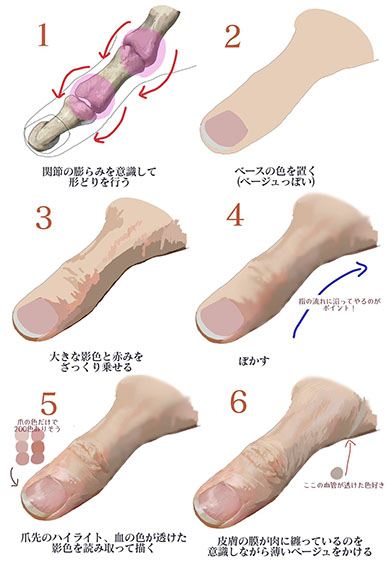 リアルな指のイラスト・描き方1
