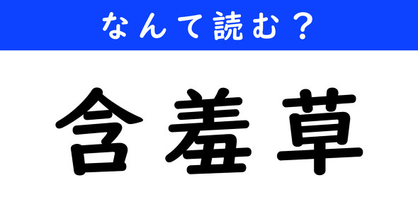 漢字クイズ　難読漢字　含羞草