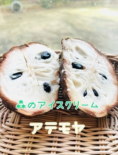 森のアイスクリームをぬか漬けにしてみた