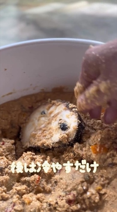 森のアイスクリームをぬか漬けにしてみた